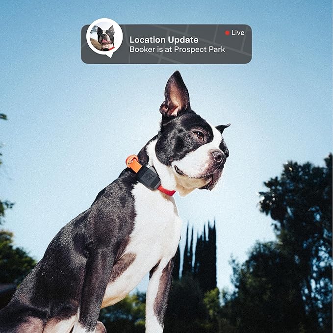 Fi Mini GPS Tracker for Dogs — 6-Month Membership Included — Smart Pet Tracking