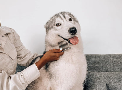 Dematting Comb For Dogs & Cats. A thoughtful pick for calmer daily routines.