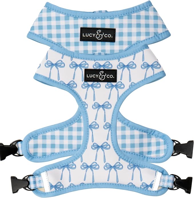Lucy & Co. Cute Reversible Dog Harness Walking Halter - Best Designer Pet Harnesses for XS - XL Dogs - Padded Adjustable Vest for Easy Walking (Large, Purple Green Floral Checker)