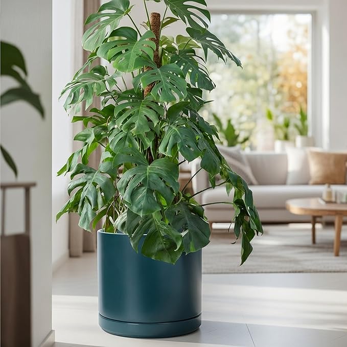 D'vine Dev 14 Inch Ceramic Planter Pot with Drainage Hole and Saucer, Indoor Cylinder Round Planter Pot, Teal, 94-O-G-9