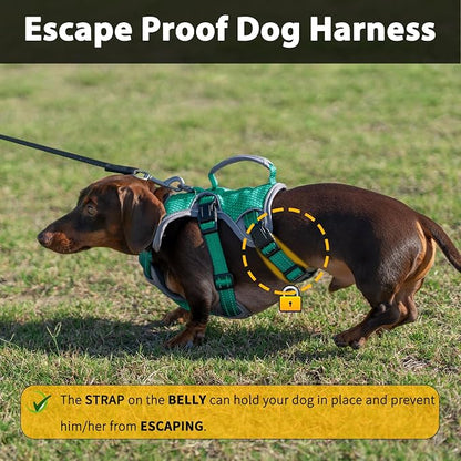 Escape Proof Dog Harness, Dachshund Harness, Reflective Dog Harness with Handle, Durable,Adjustable Vest for Small Medium Large Dogs Walking, Training, and Running Gear (Mint Green,XL)
