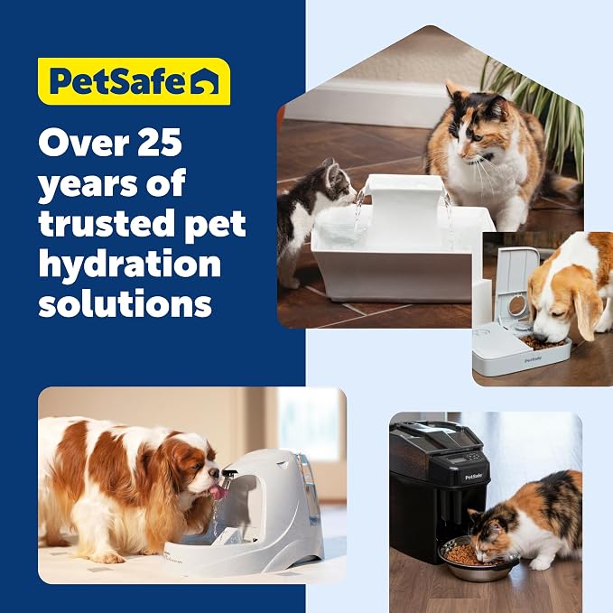 PetSafe Healthy Pet Food & Water Station, Small, 2-Pack Filters | Gravity Food & Water Station, 2 lb food, 64 oz Water, Dishwasher-Safe Stainless Bowl, Extra Filters