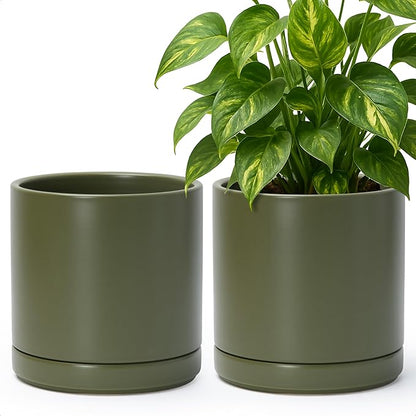 D'vine Dev Set of 2 Plants Pots, 8.2 Inch Ceramic Planter Pot for Plants with Drainage Hole and Saucer, Olive, 94-V-D-J
