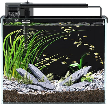 3 Gallon Fish Tank Aquarium Kit with Filter, LED Light with Timer, Siphon Vacuum Cleaner, Lid, Self-Cleaning Glass Rimless Betta Tank