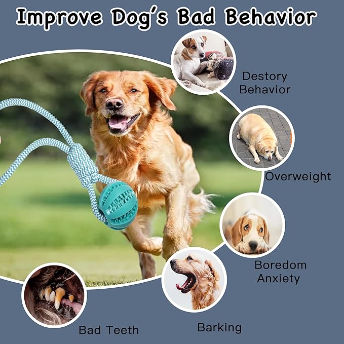Dog Rope Toy for Medium and Small Dogs, Interactive Puppy Toys Tug of War Toy with Rubber Ball, Durable Outdoor Puppy Chew Toys for Teeth Cleaning, Fetch & Training(Blue)