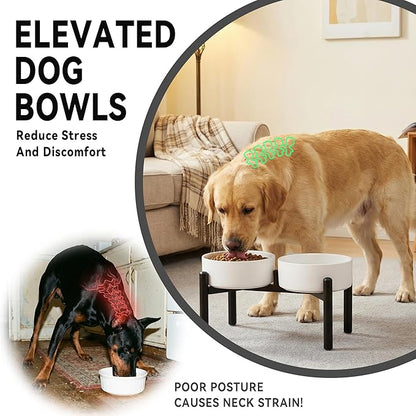 Raised Ceramic Dog Bowl Set with Stand, 7.5 Cups Elevated Dog Food Stand | 8.4'' Double Dog Food and Water Bowl Set, Non-Slip Dog Feeding Dishes for Small Breeds and Cats, 59.2 OZ, Green