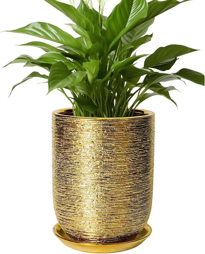 Indoor Plant Pot 8 Inch - Ceramic Planter for Indoor Outdoor Flowers, Round Modern Flower Pot with Drainage Hole and Saucer, Gifts for Plants Lovers, Garden Room Decor, Gold