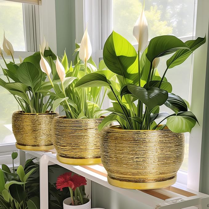SQOWL Ceramic Flower Pot - 8 Inch Plant Pot Indoor Outdoor, Round Planter with Drainage Hole and Saucer, Decorative Modern Planter, Home Decor, Plant Lovers Gifts, Gold