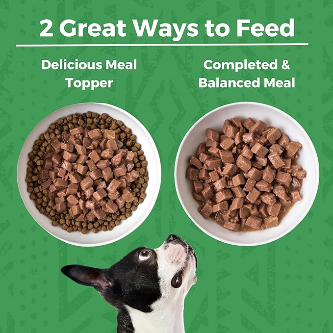 KOHA Minimal Ingredient Turkey Stew for Dogs, High Protein Limited Ingredient Dog Food, 12.7oz Cans (Case of 12)