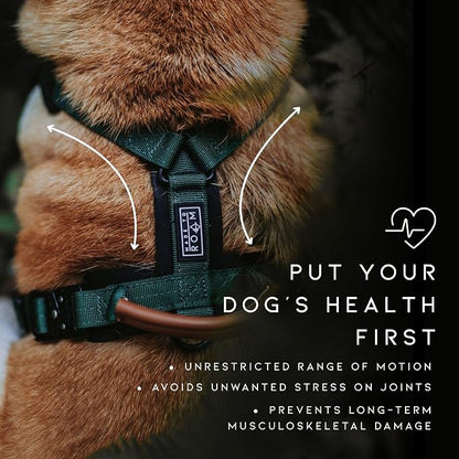 MADE TO ROAM Premium Explorer Harness - Y-Shaped Dog Harness with Adjustable Durable Nylon, Soft Padding, Metal Buckles and Leather Handle for Small, Medium, Large Dogs (Vermont Weekends, Size 4)