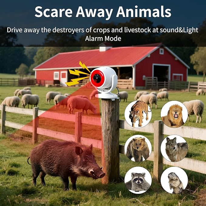 2 Pack Wireless Motion Detector Alarm