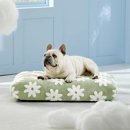 LE SURE Cute Aesthetic Bed Medium Size Dog,Jacquard Thick Pet Pillow 30x20 | Shredded Chopped Foam,Modern Plush Crate Cushion Gift for Medium Size Dog, Waterproof Washable Cover, Nonslip Bottom, Green