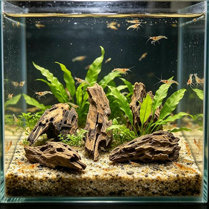 10 PCS Natural Honeycomb Wood 2-4", Porous Aquarium Driftwood, Cholla Wood Shrimp Shelter Breeding Cave, Shrimp Dragon Wood for Fish Tank, Aquascaping, Reptile, Terrarium Decor