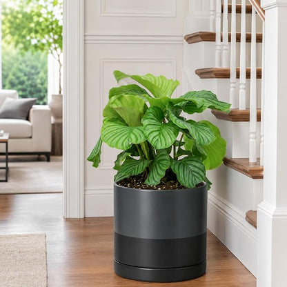 D'vine Dev 10 Inch Ceramic Planter Pot, Slate, 94-O-E-5 | Modern Cylinder Design, Drainage Hole & Saucer Included, Stable Structure, Elegant Home Accent
