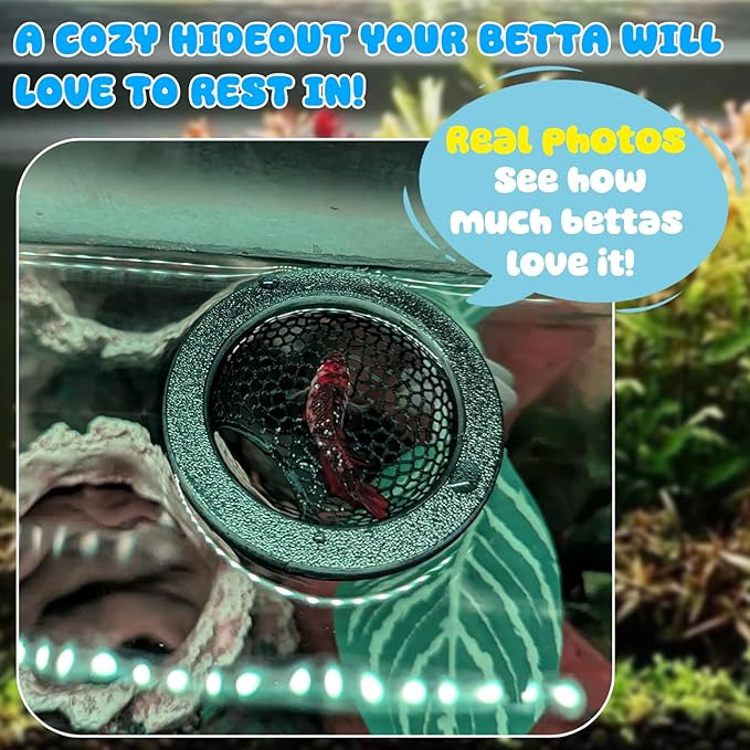 Floating Betta Hide & Shrimp Cave – 3D Printed Aquarium Decor, Multi-Functional Hammock, Feeding Ring & Safe Resting Spot for Betta, Shrimp & Small Fish (PLA, Eco-Safe)