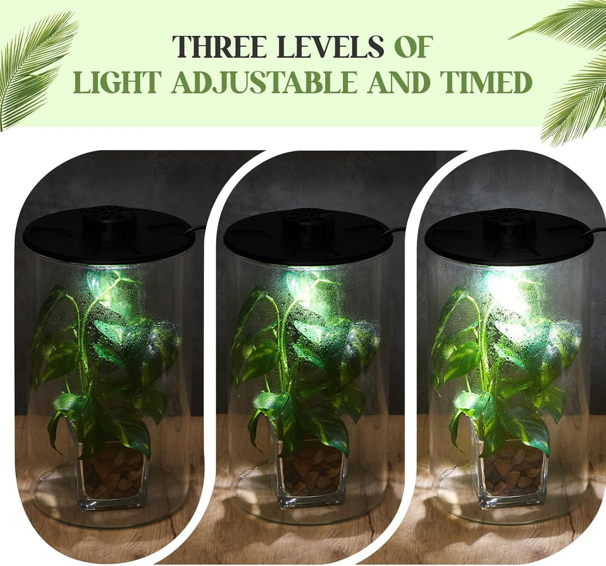 Maxdot Glass Plant Terrarium Kit with Light for Succulent, Moss, Miniature Gardening Landscape, Betta Fish Tank, Office Home Decoration, Plant Lovers Gifts(9.8 x 5.9 Inch)