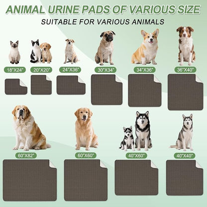 Washable Pee Pads for Dogs Puppy Pad, Coffee 60”x60” 1 Pack | High Absorbent Dog Pee Pad Leak Proof Cat Rugs, Reusable Non Slip Pet Mat, Wee Wee Pads for Training, Crate and Floor