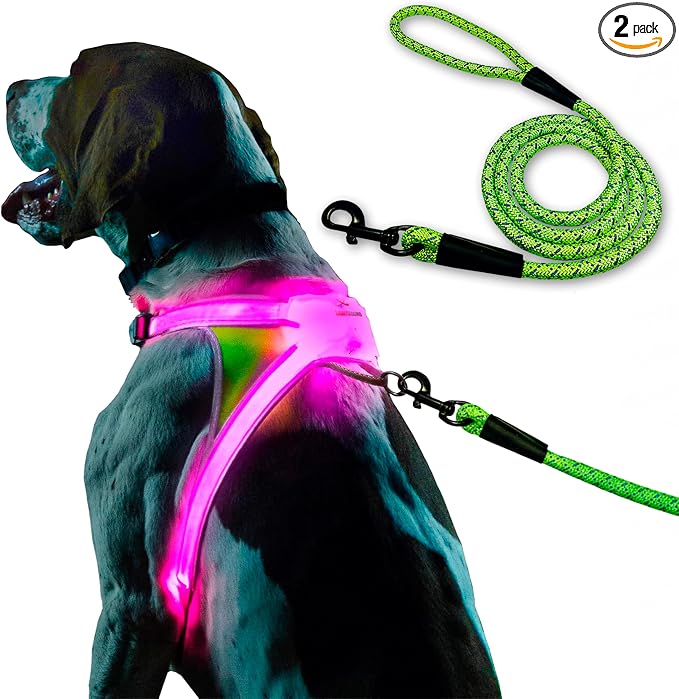 noxgear LightHound Light Up Reflective Dog Harness and Leash, X-Large | 360° Light Up Reflective Dog Harness, 8 Colors & 6 Modes, USB Rechargeable, Adjustable, Rainproof, LED Fiber Optic