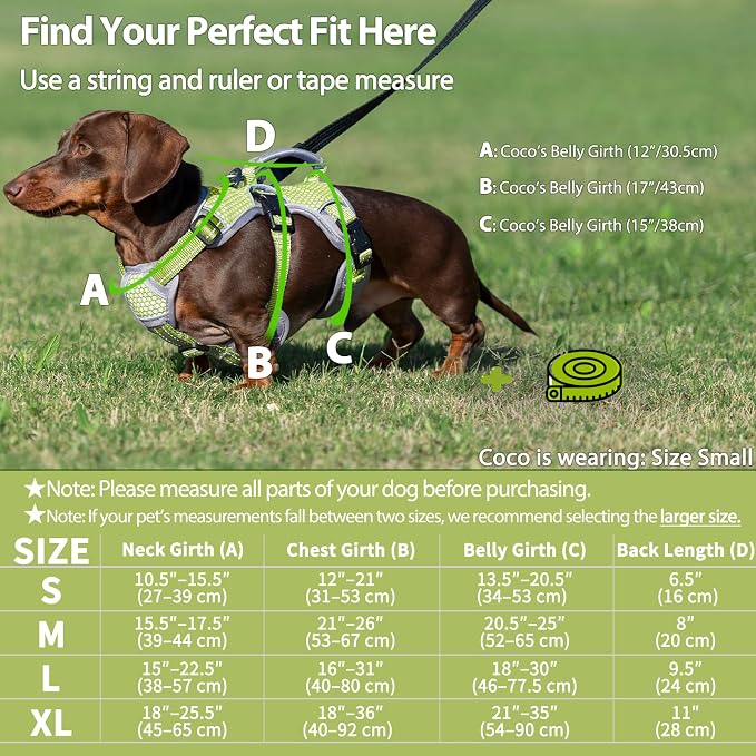 Escape Proof Dog Harness, Dachshund Harness, Reflective Dog Harness with Handle, Durable,Adjustable Vest for Small Medium Large Dogs Walking, Training, and Running Gear (Green,S)