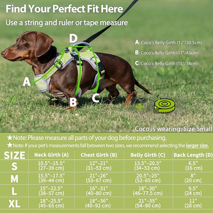 Escape Proof Dog Harness, Dachshund Harness, Reflective Dog Harness with Handle, Durable,Adjustable Vest for Small Medium Large Dogs Walking, Training, and Running Gear (Green,S)