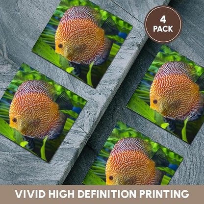 3dRose Super Pigeon Snakeskin Discus, Tropical Freshwater Fish Set of 4 Ceramic Tile Coasters