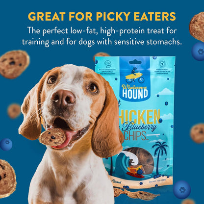 Chicken & Blueberry Chips – 2 Simple Ingredient Dog Treats, All Natural & Healthy Training Snacks for Small, Medium & Large Breeds, Puppies – High Protein, Made in USA, 7oz