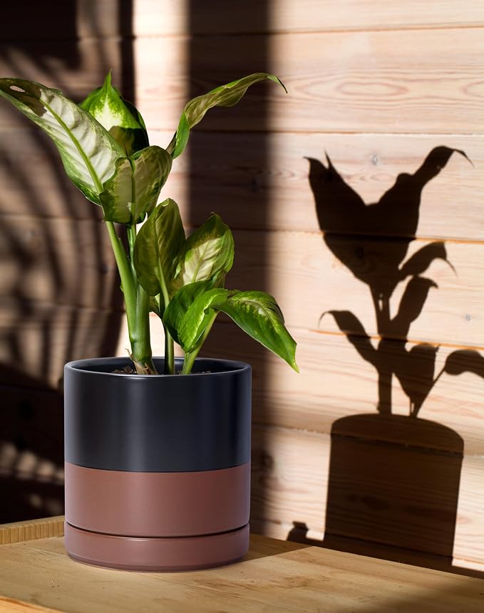D'vine Dev Set of 2 Plants Pots, 6 Inch Ceramic Planter Pot for Plants with Drainage Hole and Saucer, Black/Speckled Tan, 94-V-C-7