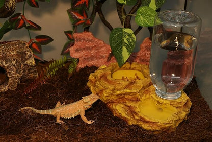 AQUA KT Reptile Escape Free Mealworm Feeding Bowl and Water Storage Feeder, 2 in 1 Reptile Feeder Kit for Amphibian Lizard Bearded Dragon Snake Feeding