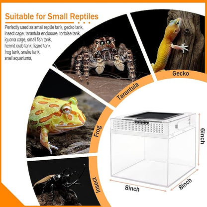 Reptile Terrarium, Jumping Spider Enclosure Starter Kit, Leopard Gecko Habitat Container, 8"x8"x7"Reptile Tank for Tarantula, Hermit Crab, Insect, Fish, Frog, Small Bearded Dragon, Lizard