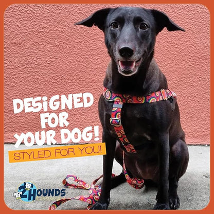 2 Hounds Design - Freedom No-Pull Harness & Training Leash in Tie-Dye | Dual Leash Loops, No Pulling on Walks | Lined to Prevent Chaffing | for Large Sized Dogs (Size L, Chest 28”- 32”)