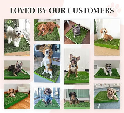 DoggieLawn Real Grass Dog Pee Pads w/ Tray - Standard Dog Potty Pad 24x16 | No-cleaning, odor-reducing puppy potty training pad for housebreaking, indoor or outdoor use, real grass, replace when needed