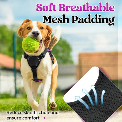 rabbitgoo Escape Proof Dog Harness for Small, No Pull with Lift Handle | No Escape, Full Soft Padded, Reflective Adjustable Vest, Leash Clip for Walking Hiking Training, Purple, Small