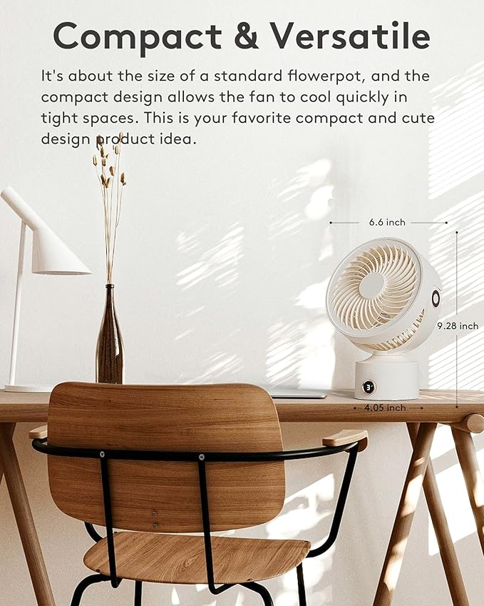 CARONSORT Desk Fan, Small Oscillating Fan
