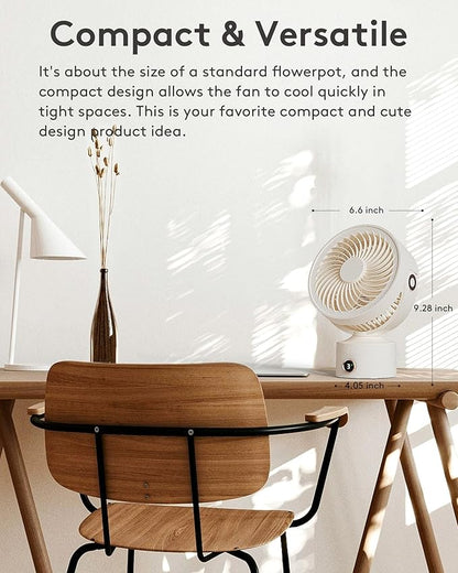 CARONSORT Desk Fan, Small Oscillating Fan