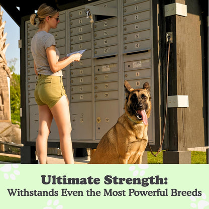 Canine Hitch. Chosen for real quality, not just packaging.