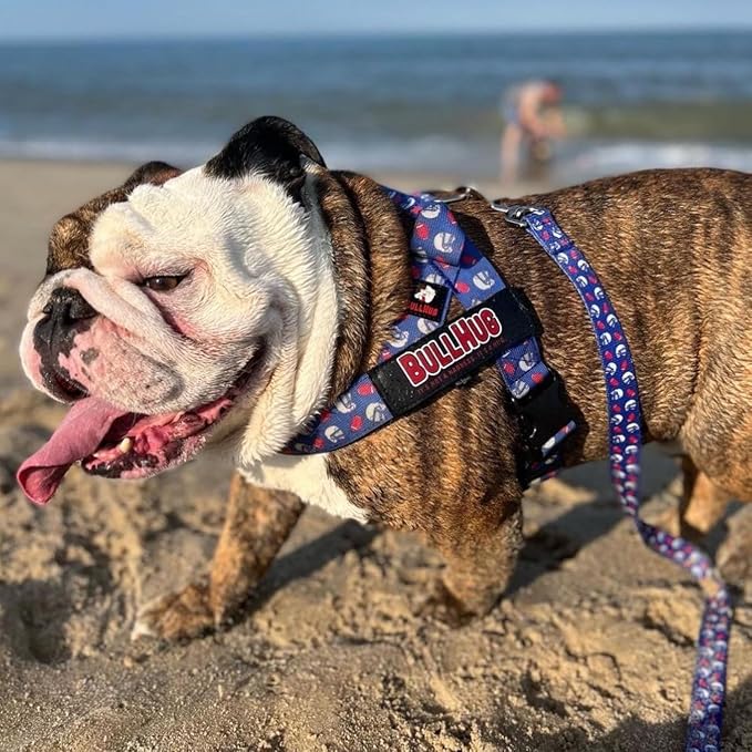 Adjustable Dog Harness– No Pull, No Choke – for English Bulldogs, French Bulldogs, Pugs & Broad-Chested Breeds – Easy, Safe Walks (Blue Burger, Small)