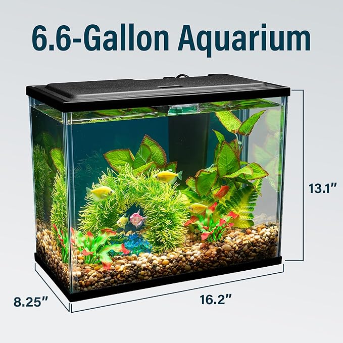 GloFish Aquarium Starter Kit, 6.6 Gallon Fish Tank, Includes Blue & White LED Lights, Tetra Whisper Bio-Bag Filter & Thermometer