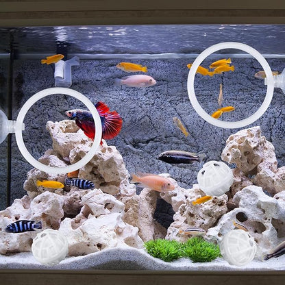 Beta Fish Aquariums Accessories, Betta Ring Enrichment Toys, 1 Fish Mirror with Floating Ball & 2 Exercise Training Ring Toys & 4 Nitrifying Balls for Fish Tank, Betta Tank, Betta Aquarium