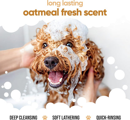Oatmeal Dog Shampoo by Buddycare | Shampoo for Dogs with Irritated Skin | Relieving and Rehydrating | with Aloe Vera and Pro Vitamin B5 (50.72oz)