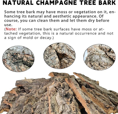 BNOSDM Reptile Terrarium Bark Substrate Bedding Tortoise 3.9-5.9in Natural Cork Bark Reptile Climbing Mat Habitat Decor for Lizard Snake Spiders Hermit Crabs Tarantula Geckos Bearded Dragons (1.4LB)