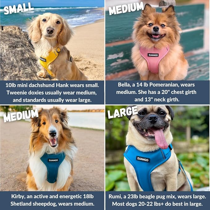 Adventure Dog Harness - Stylish and Durable Large Dog Harness for Outdoor Adventures and Everyday Wear - Forest Green Neoprene Adjustable Harness for Dogs with Reflective Piping & Brass D-Ring