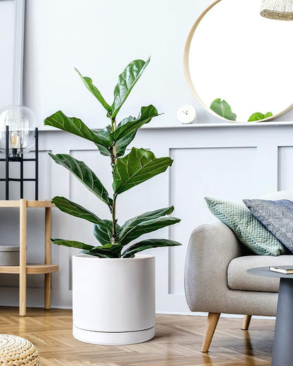 D'vine Dev 12 Inch Ceramic Planter Pot, White, 94-O-F-1 | Modern Cylinder Design, Drainage Hole & Saucer Included, Stable Structure, Elegant Home Accent