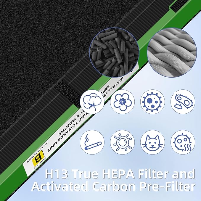 Pulluty FLT4825VO HEPA Toxin Absorber Filter B Replacement Compatible