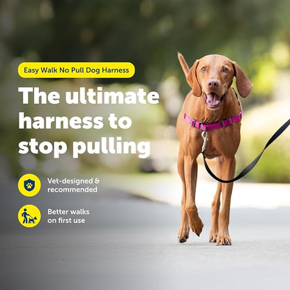 PetSafe Easy Walk Harness, No Pull Dog Harness, Medium, Raspberry | Patented Martingale Loop Gives Gradual Shoulder Pressure to Stop Pulling, Front-Chest Leash Clip Prevents Gagging