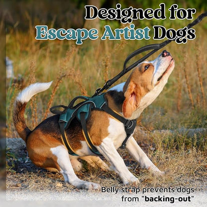 rabbitgoo Escape Proof Dog Harness for Small, No Pull with Lift Handle | No Escape, Full Soft Padded, Reflective Adjustable Vest, Leash Clip for Walking Hiking Training, Dark Green, Small