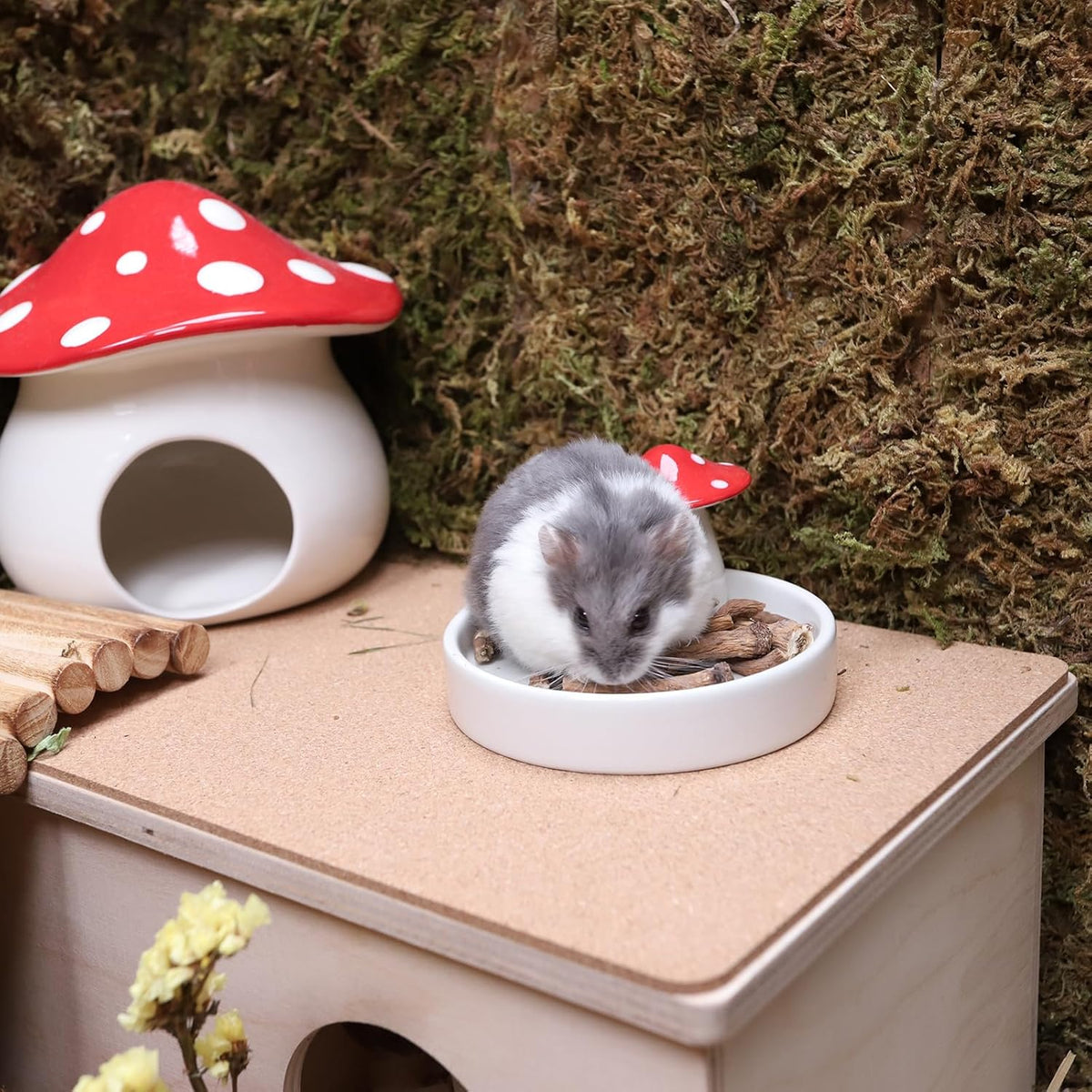 Niteangel Hamster Snack & Treats Toy - Small Animal Natural Treat for Dwarf Syrian Robo Hamsters Gerbils Mice Lemmings Degus or Other Small-Sized Pets