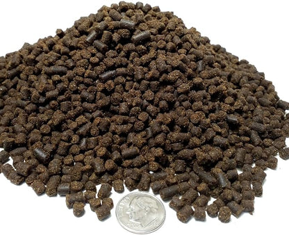 Aquatic Foods Inc. Brine Shrimp & Tubifex Worms - Freeze-Dried Brine Shrimp & Tubifex Cubes for Discus, Cichlids, Koi, Pond Fish, Aquatic Turtles, Tropical Fish, Marines…1oz Sm Round Jar