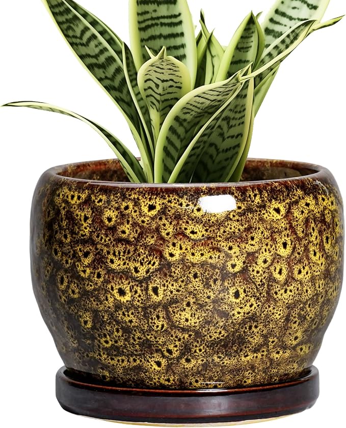 SQOWL 6 Inch Plant Pot - Ceramic Flower Pots with Drainage Hole and Saucer, Ceramic Planter for Indoor Plants Outdoor, Round Decorative Small Planter, Table Desk Decor, Housewarming Gifts, Yellow