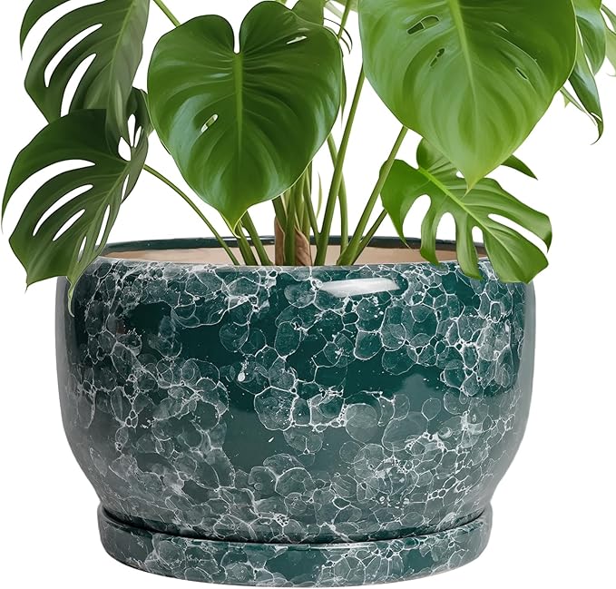 SQOWL 10 Inch Plant Pot - Ceramic Planter for Indoor Plants Outdoor, Large Ceramic Flower Pot with Drainage Hole and Saucer, Decorative Round Planter, Living Room Decor, Gifts for Women Men, Green