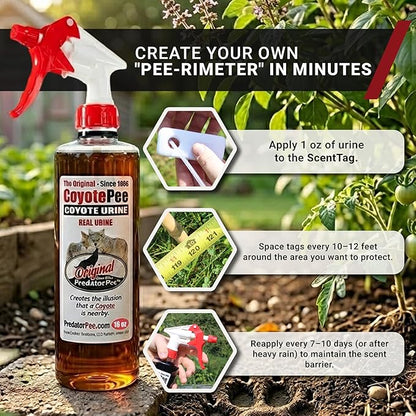 PredatorPee 100% Coyote Urine Kit, Territorial Marking Scent Kit, Creates Predator Presence Illusion for Deer Raccoons Groundhogs Rats, Outdoor Yard Garden Perimeter Setup